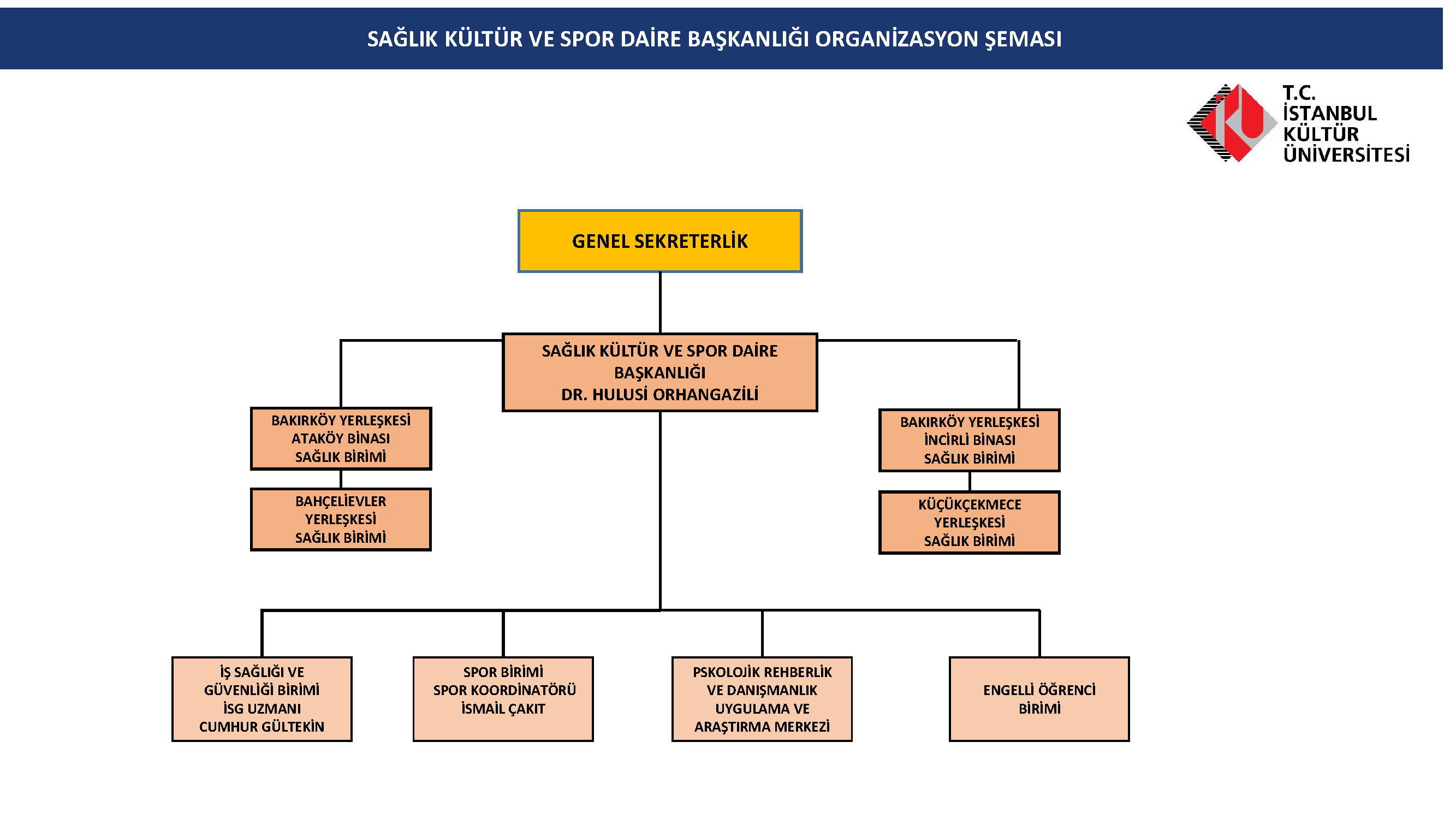 Organizasyon Şeması